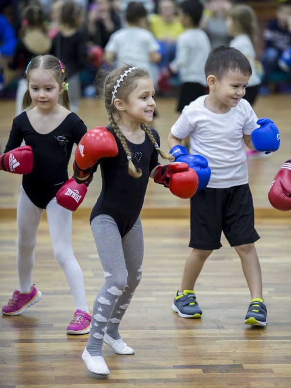 Открытый урок по таэквондо и kickboxing kids