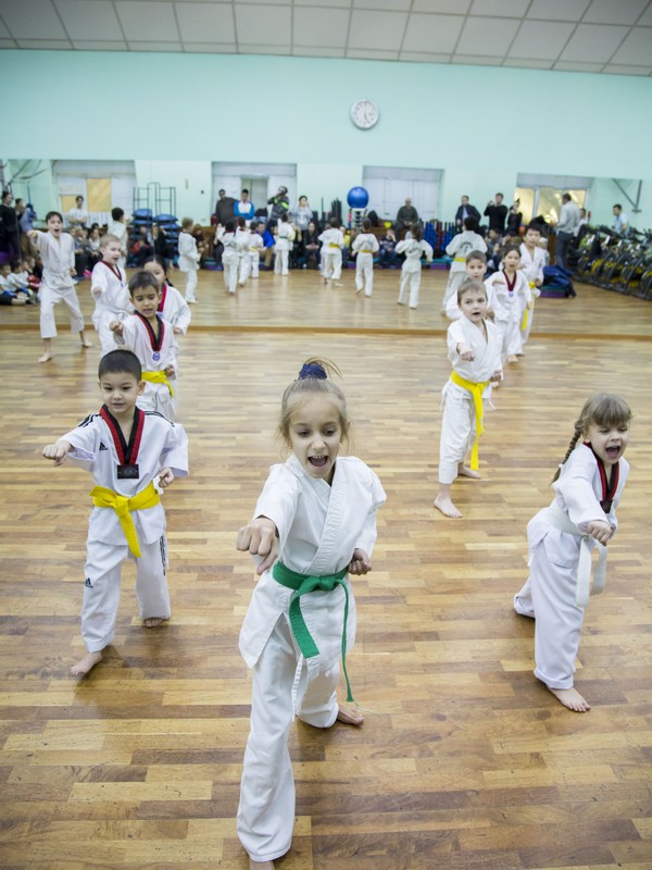 Открытый урок по таэквондо и kickboxing kids